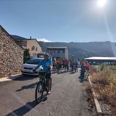 Porteo - Les Terrasses Du Port Centuri Dış mekan fotoğraf