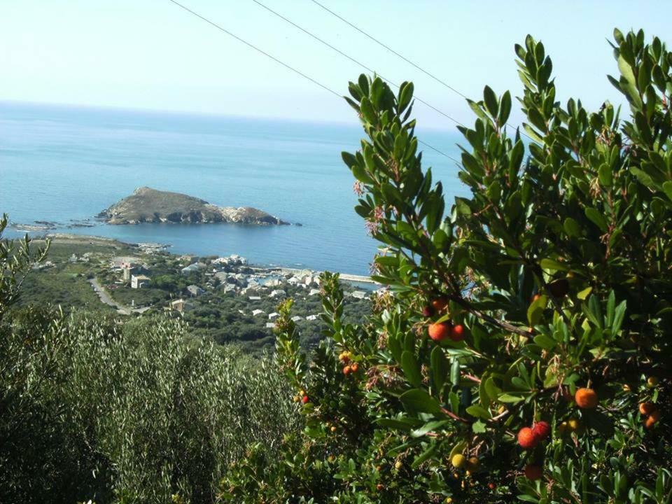 Porteo - Les Terrasses Du Port Centuri Dış mekan fotoğraf